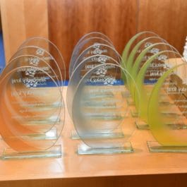 Cena hejtmanky Jihočeského kraje