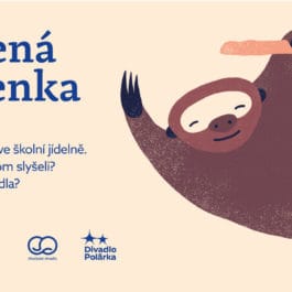 Zavěšená vstupenka