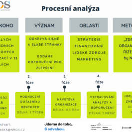 Výsledky procesního auditu