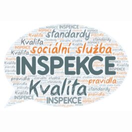 Inspekce kvality sociálních služeb