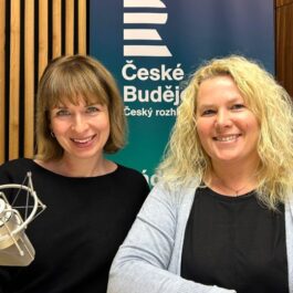 Dluhové poradenství v našich poradnách: Pomáháme s odborností a pochopením